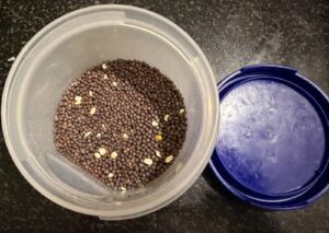 Tomato thokku recipe mustard seeds